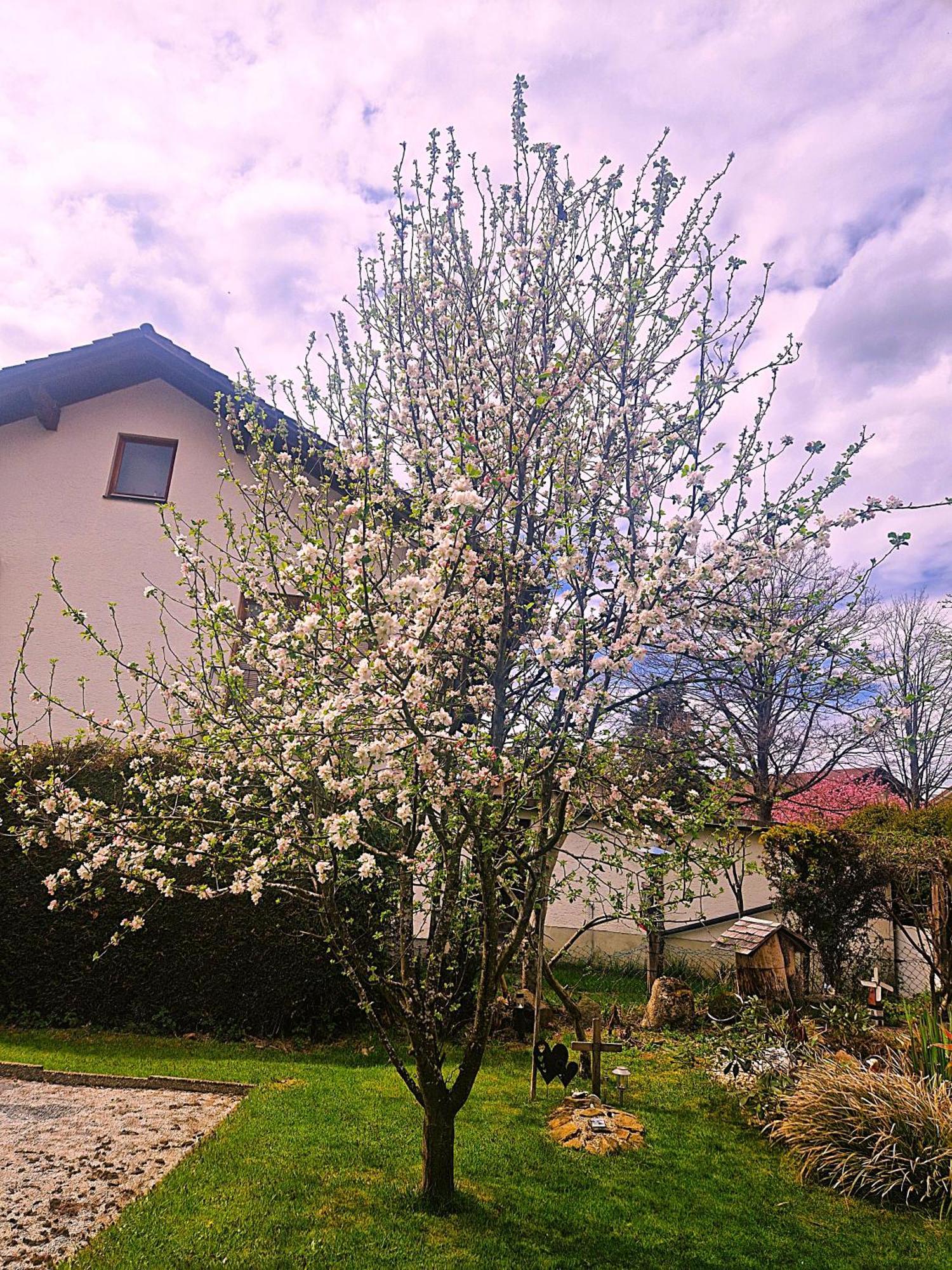 Pension Landhaus Koller - Adults Only Боденмайс Экстерьер фото